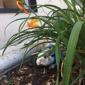 Meet your Posher, Thao